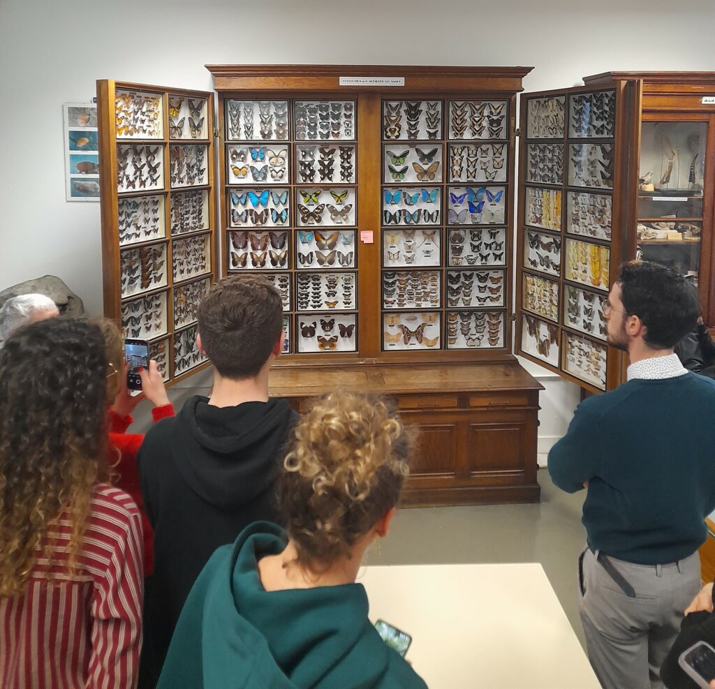 Photo prise lors d'une visite de la collection naturaliste de Bordeaux. 6 personnes sont face à une armoire ouverte remplie de papillons.