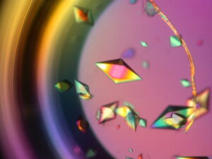 Photographie de cristaux de protéines microscopiques de forme hexagonale