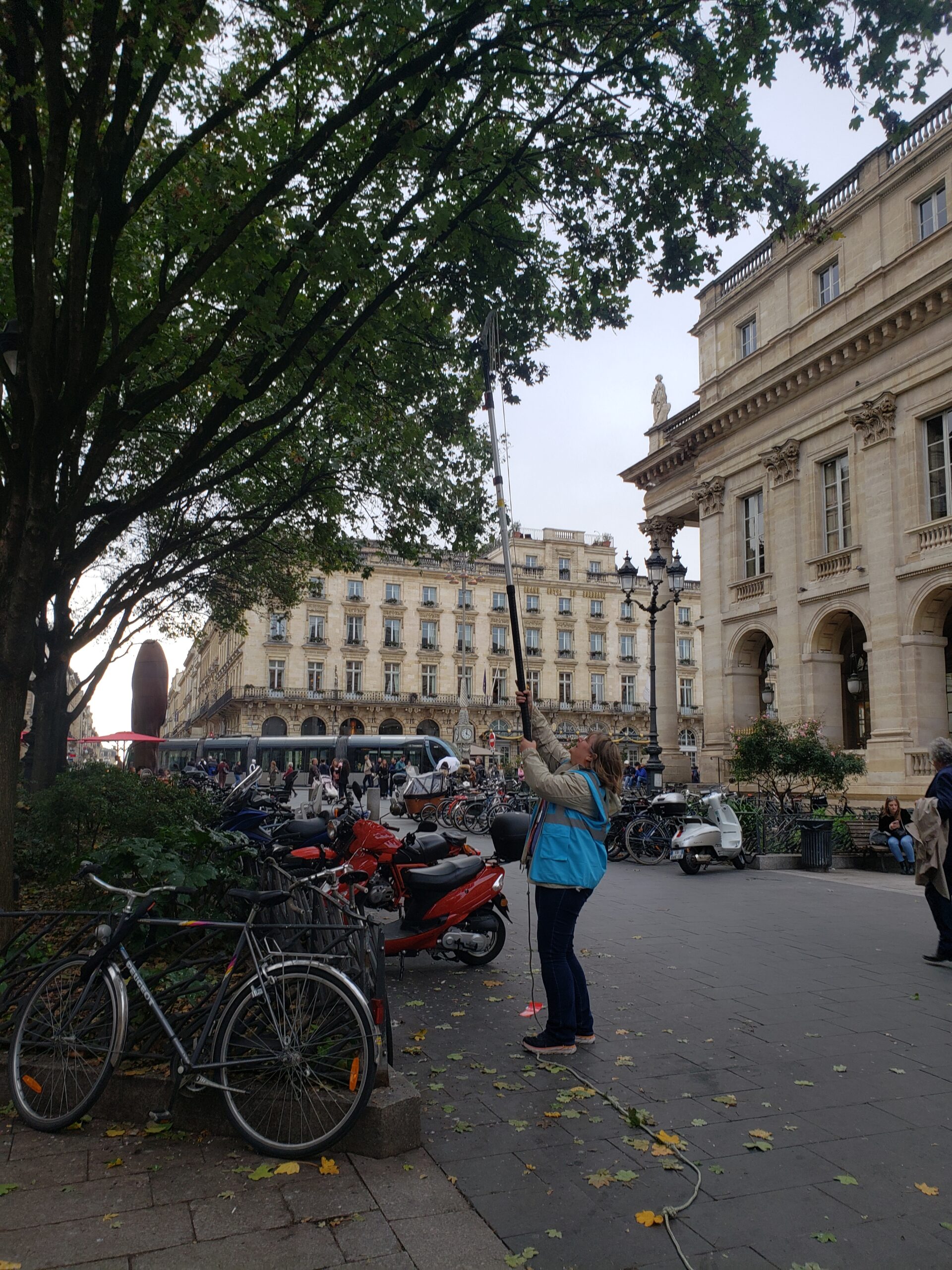 Annabel Porté récolte des branches dans le centre-ville de Bordeaux. Crédit : Pauline Colombet
